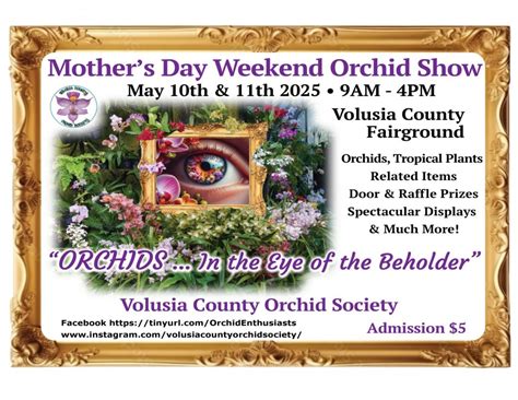 Volusia County Orchid Society’s 30th Orchid Show, “Orchids...in the Eye ...