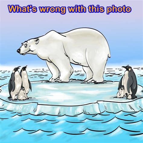 Image result for Draw a Basic Structure of C Program
