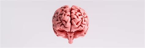 How COVID-19 affects the brain