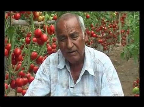 YouTube | Agriculture business, Agriculture, Nepal