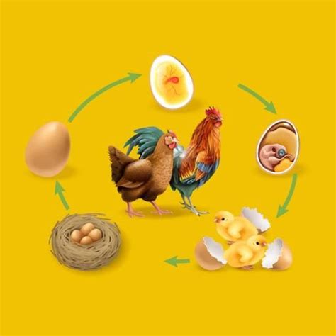 Plants and Animals Chapter Notes - Class 5 PDF Download