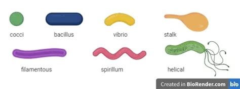 Image result for Python All Basic Programs
