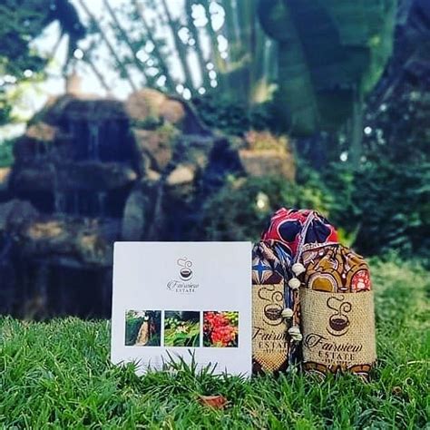 FAIRVIEW COFFEE ESTATE (2025) All You Need to Know BEFORE You Go (with ...