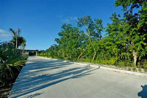 9,720 Square Meters of Land for Sale, Tulum, Mexico - 7th Heaven Properties
