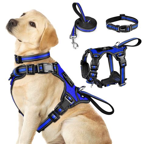 Which Is Better For Dog Harness Or Collar at Lori Allan blog