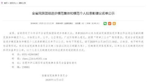 正在公示！蚌埠3集体、2人拟获表彰_澎湃号·政务_澎湃新闻-The Paper