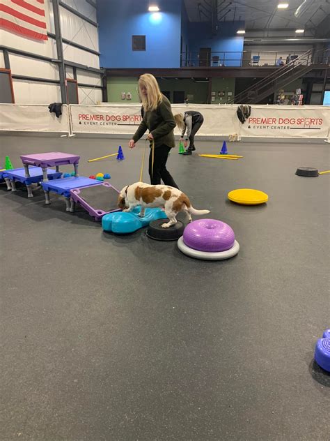 AKC Fit Dog in Lancaster, NY | Premier Dog Sports & Event Center