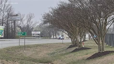 Plane crashes near Greenville airport; no survivors found | 13newsnow.com