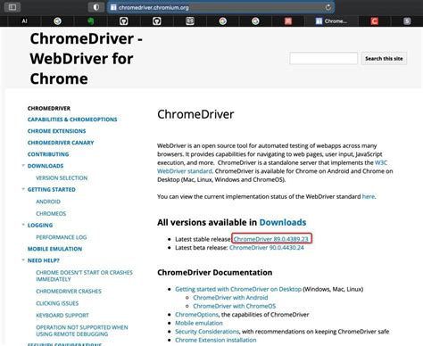 Image result for chrome webdriver python download