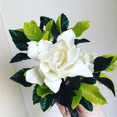 Gardenia flower meaning: find out what this flower symbolizes ↓