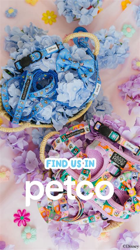 Sassy Meow (@sassymeow) • Instagram photos and videos