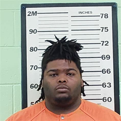 Shots Fired Leads to Arrest of Two (06/20/2024) - Press Releases ...