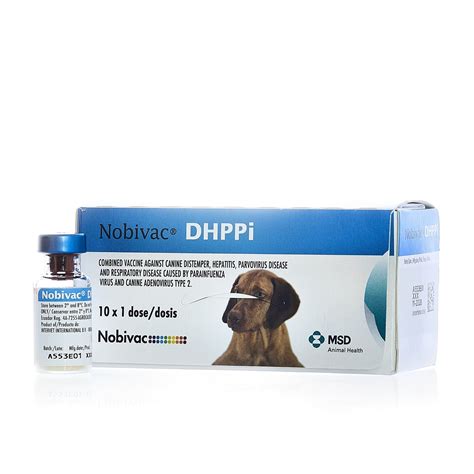 Canine Influenza Vaccine Important Announcement‼ After Careful