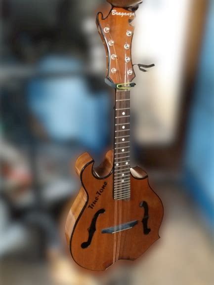 TRUETONE Mandolin Wood Finish – Braganzas