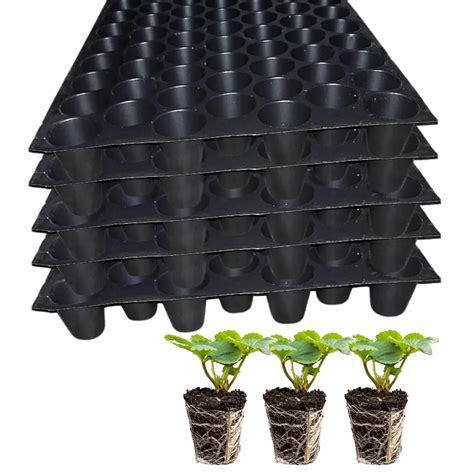 SINGHAL Seedling Tray - Pack of 15 (Black, 70 Holes) Germination Trays ...