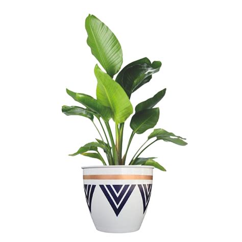 Trustbasket Armour Planters (Set of 3) – TrustBasket