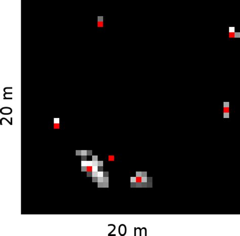 Tree Stem and Height Measurements using Terrestrial Laser Scanning and ...
