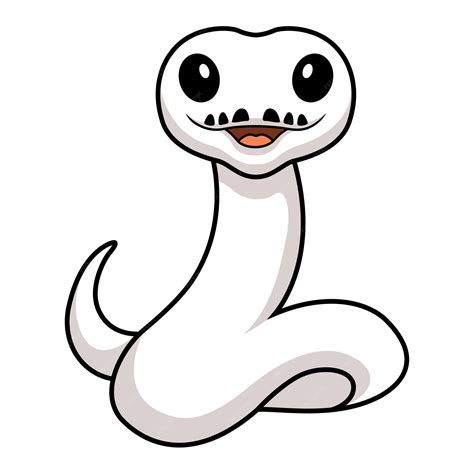Premium Vector | Cute white leucistic ball python snake cartoon