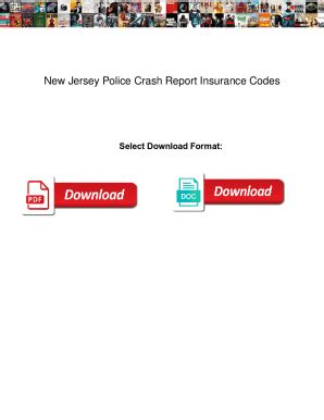 Fillable Online New Jersey Police Crash Report Insurance Codes. New ...