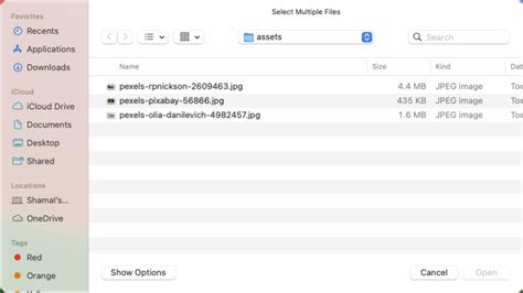 Image result for Python Open File Picker