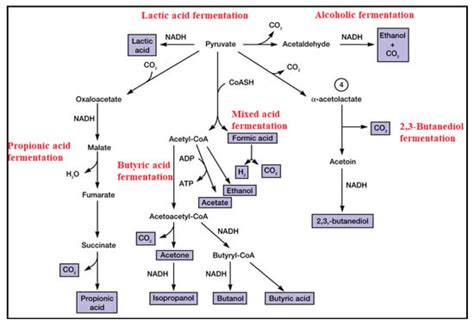 Microbiological Sensing Technologies: A Review