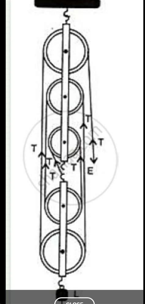 Draw a diagram of a block and tackle system of pulleys having a ...