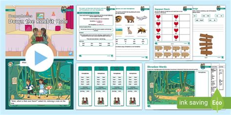 Homophones and Near Homophones Lesson Pack (teacher made)
