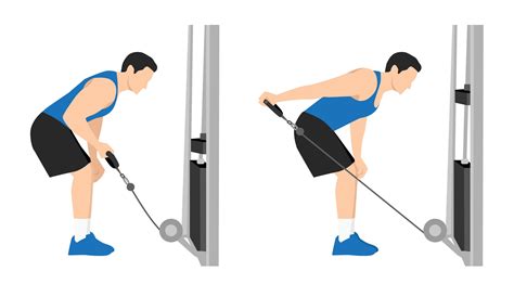 How to Do the Cable Triceps Kickback Correctly - muscleandstrong.com