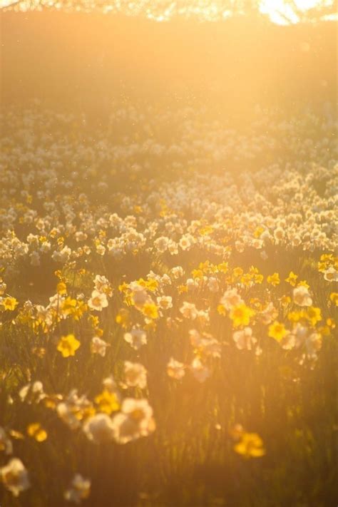 @cubeshapedlemon on Tumblr