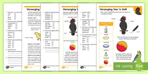 Versorging Van 'n Voel Gedifferensieerde Begripslees Aktiwiteit