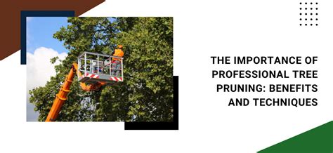 The Importance of Professional Tree Pruning: Benefits and Techniques ...