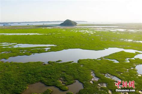 鄱阳湖提前进入枯水期 为有记录以来最早进入枯水期年份_新浪图片