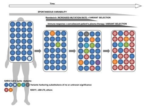 A Possible Role of Remdesivir and Plasma Therapy in the Selective Sweep ...