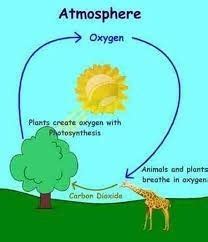 Draw a flowsheet diagram showing the balance of oxygen in the air ...
