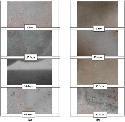 Experimental Evaluation of Modified Sulfur Concrete for Achieving ...