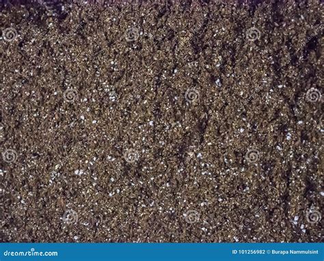 Peat moss soil. stock photo. Image of agriculture, natural - 101256982