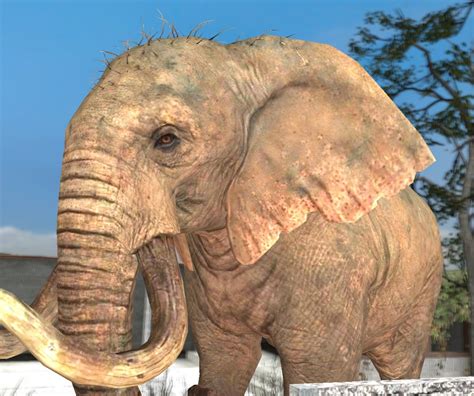 Image result for VenturianTale Front Loader