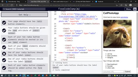 Image result for How to Use Radio Button in HTML and JavaScript to Create Form