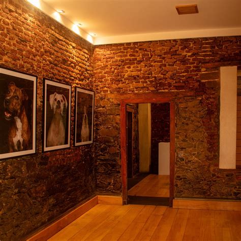 MUSEUM OF DOGS - All You Need to Know BEFORE You Go 2026 (with Photos ...