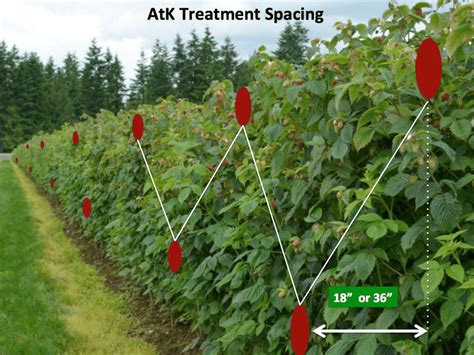 Image result for Replicated Block Design Example