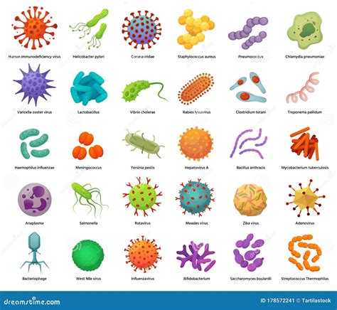 Bacteria and Virus Icons. Disease-causing Bacterias, Viruses and Microbes Stock Vector ...