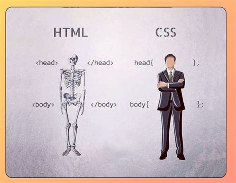 Image result for Simalarities Between CSS and HTML Detail