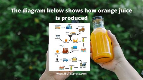 Orange Juice In Sign Language at Nancy Green blog