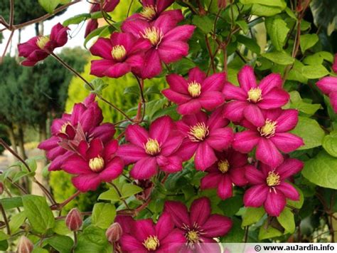 Image result for Algorithm for Three Integers Flowchart