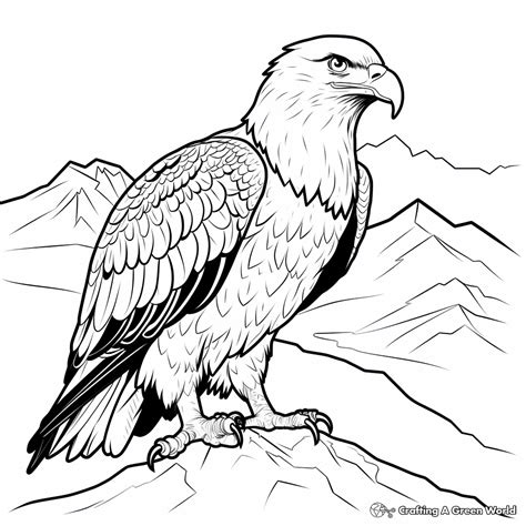 Coloring Pages Realistic Bald Eagle