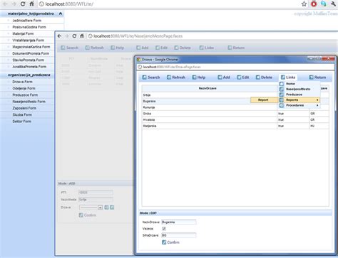 Application Server Form Example 的图像结果