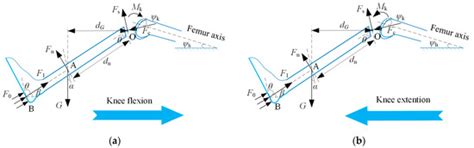 Estimation of Tibiofemoral Joint Contact Forces Using Foot Loads during ...
