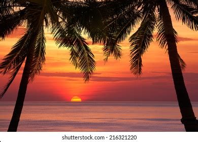 Image result for Sunset Climb O2