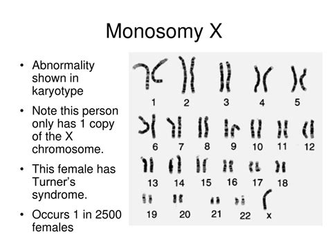 PPT - Abnormal Meiosis PowerPoint Presentation, free download - ID:438984