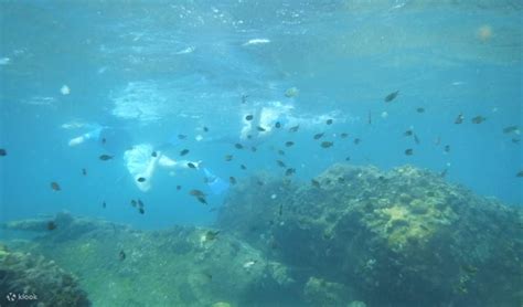 Snorkeling and Kayaking by Danang Outdoor Adventures in Danang - Klook ...